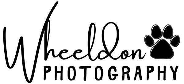 Wheeldon Photography