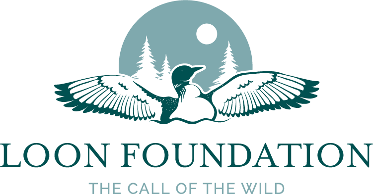 Loon Foundation