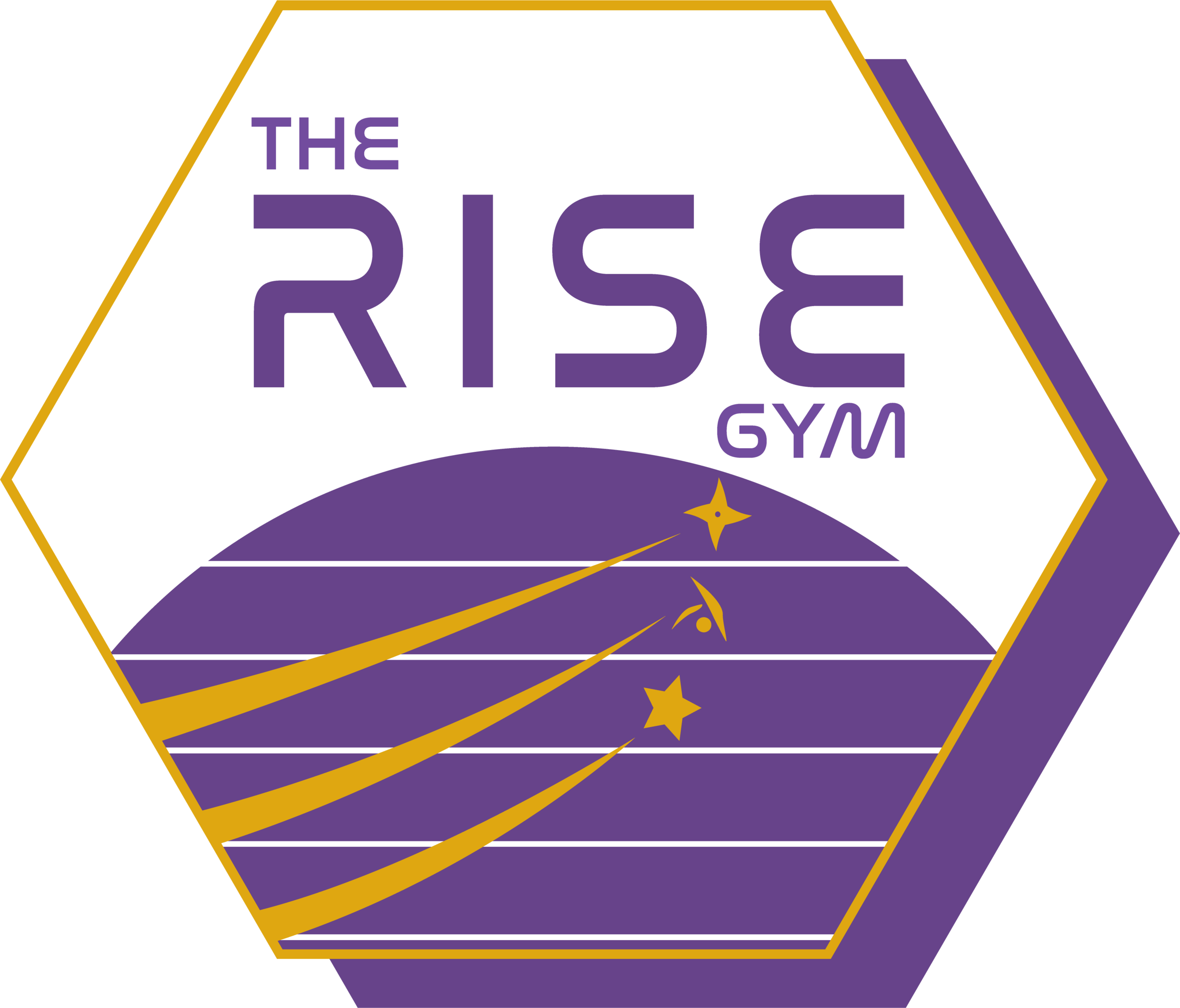 THE RISE GYM