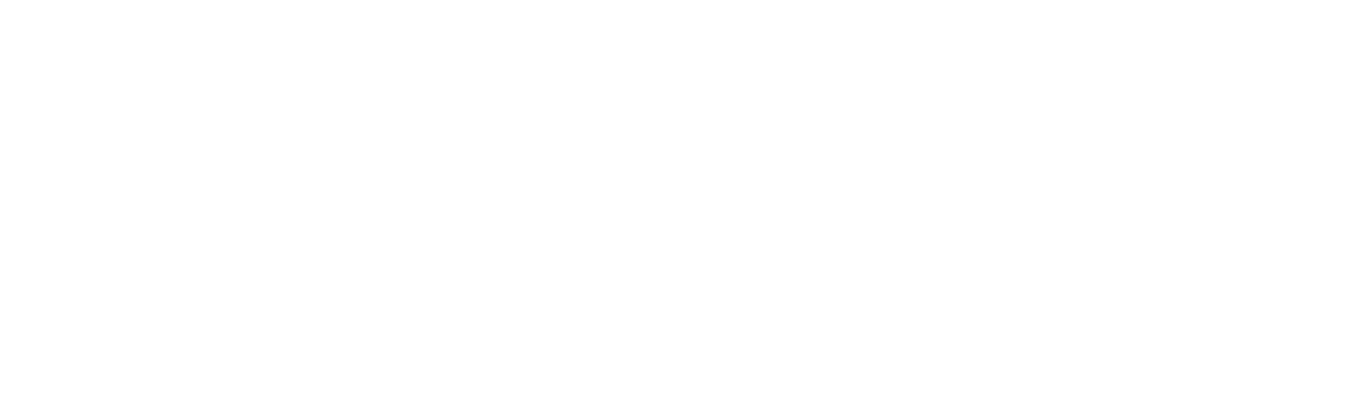 Wealthspring Capital