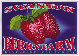 Swanton Berry Farm