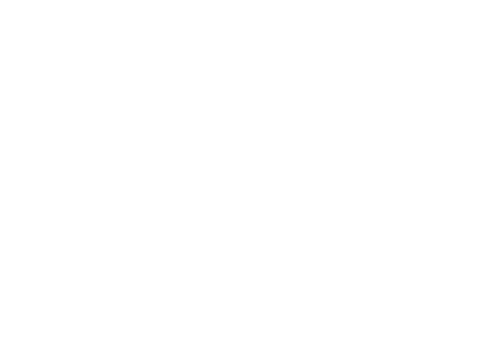 We the Norths