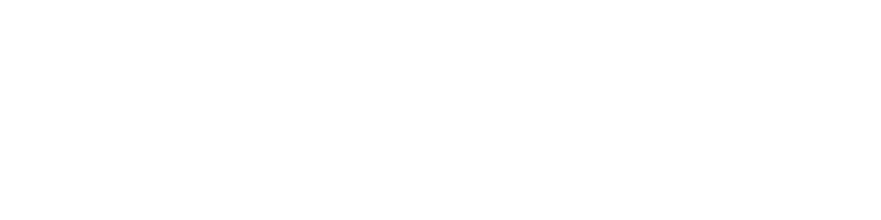 Netwurx TG