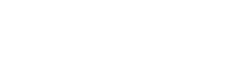 DirectLine-IT