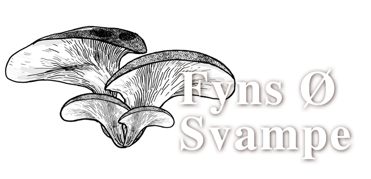 Fyns Ø Svampe