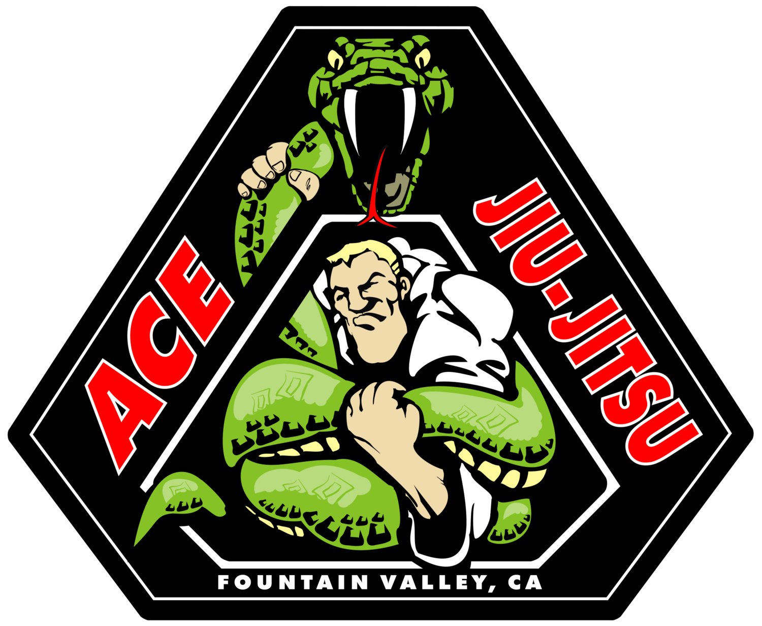 THE ACE JIU JITSU ACADEMY