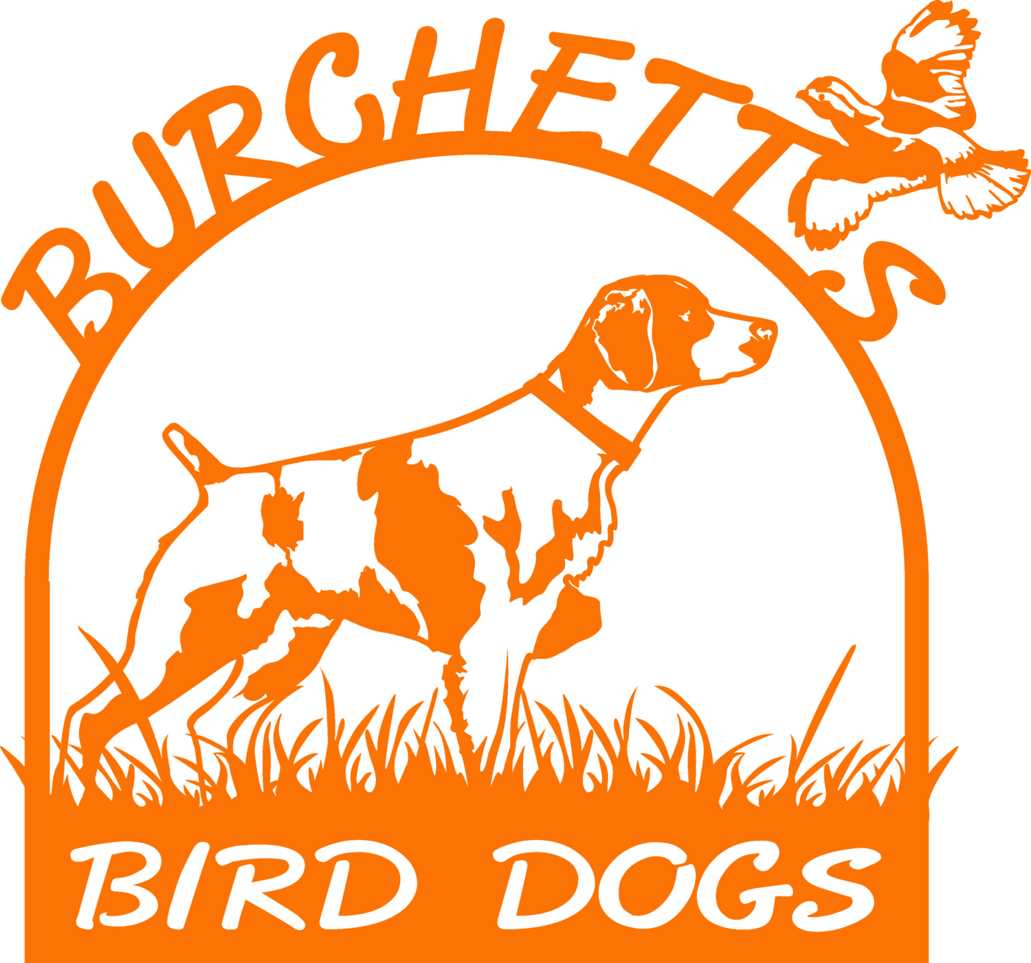 Burchett Bird Dogs