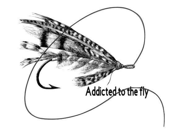 ADDICTED TO THE FLY