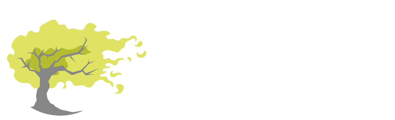 Dan Ling