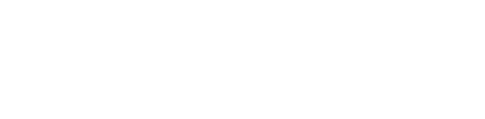 Novum Executive