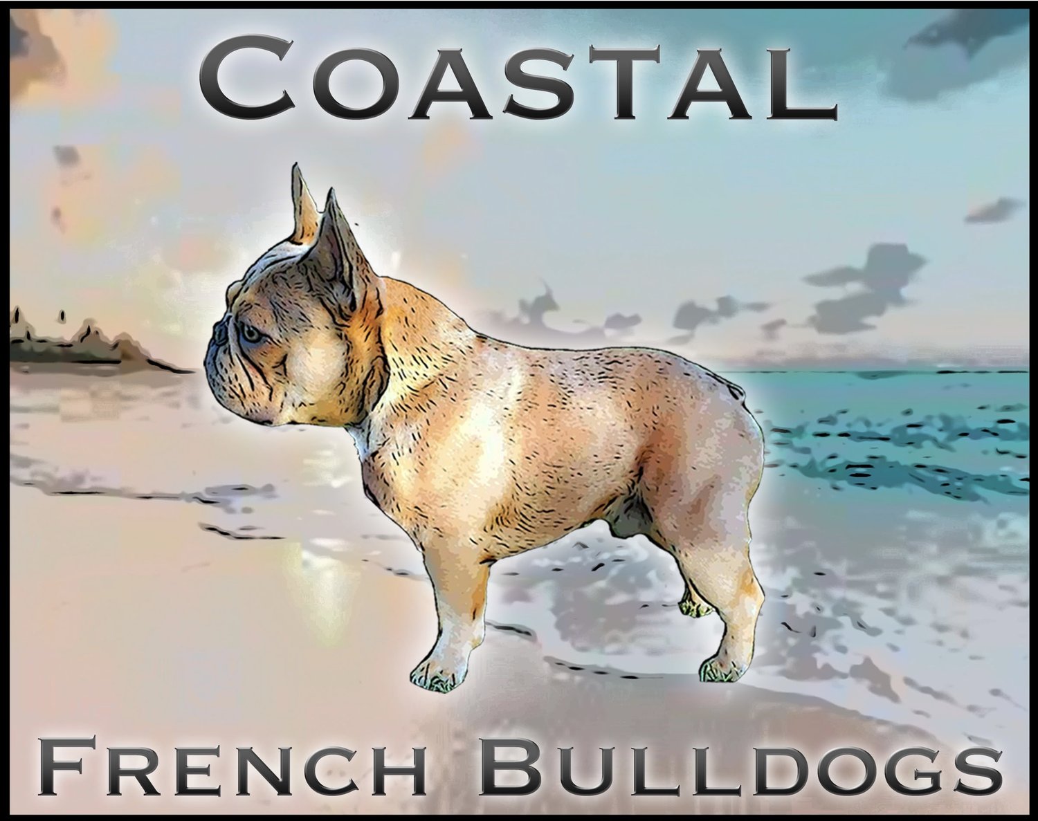 Coastal French Bulldogs