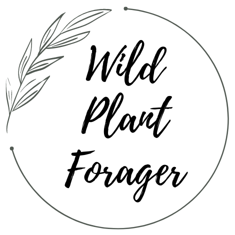 Wild Plant Forager