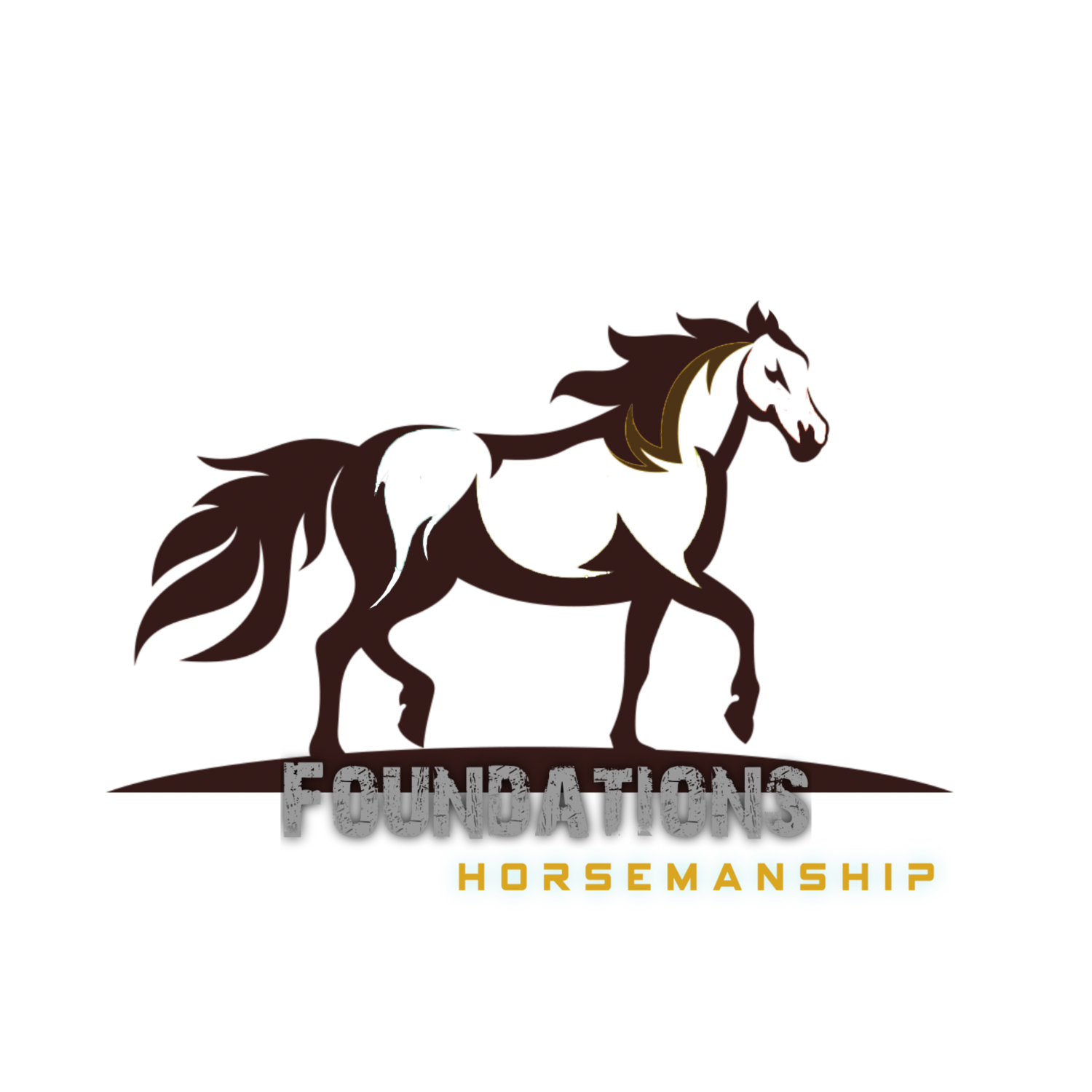 FOUNDATIONS HORSEMANSHIP