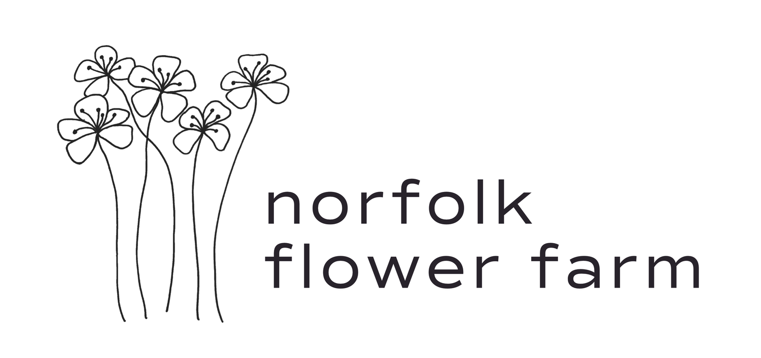 Norfolk Flower Farm
