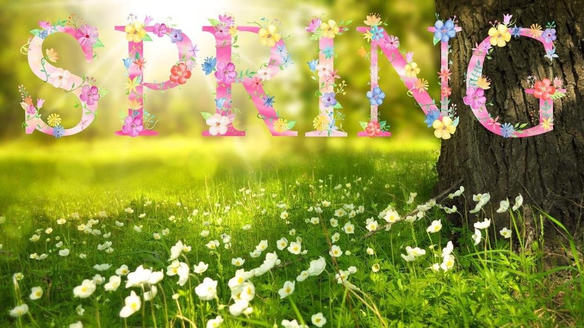 春天的乐趣:复活节，逾越节 &amp; 春天事件
