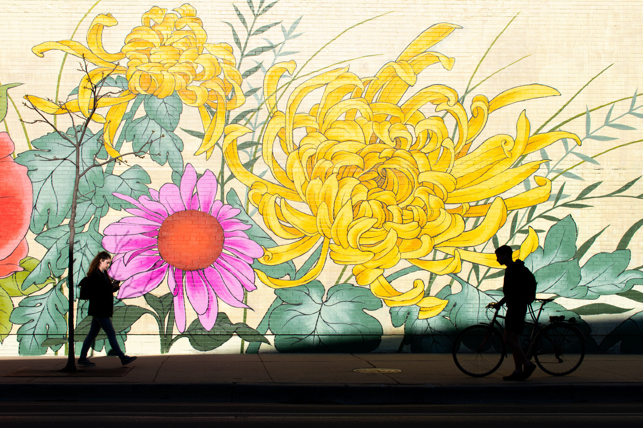 奥尔托的城市，路易斯·琼斯(Louise“Ouizi”Jones) (2019): 3637 N. 南安普顿的大街 |位于Southport走廊中心，距离Wrigley Field仅几个街区, 奥尔托的城市是一幅大胆的新壁画，它融合了美国中西部地区发现的五颜六色的花朵 