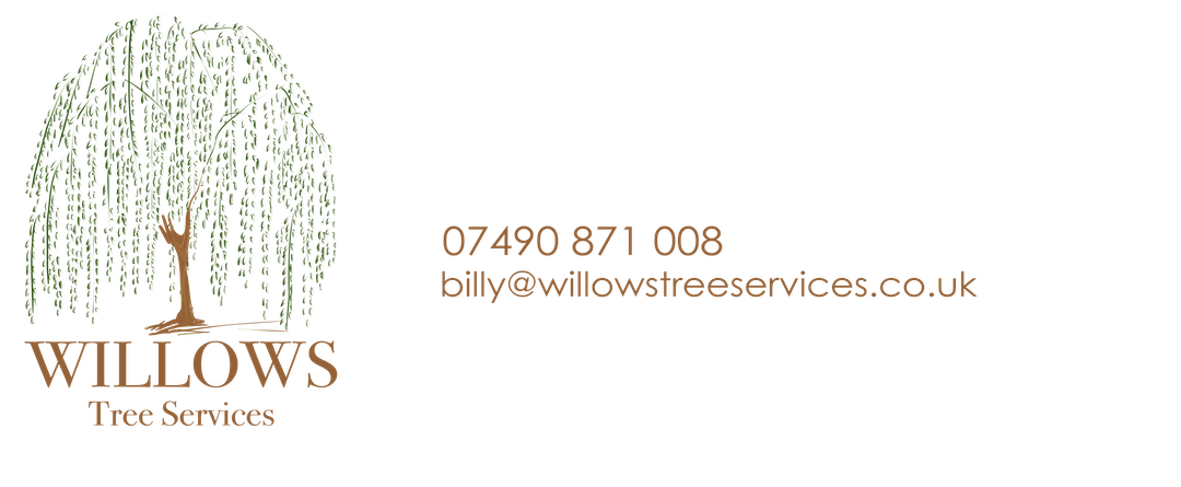 Willows Tree Services