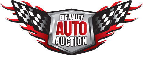 Big Valley Auto Auction