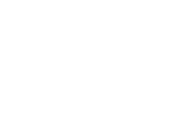 ELAvate Global 