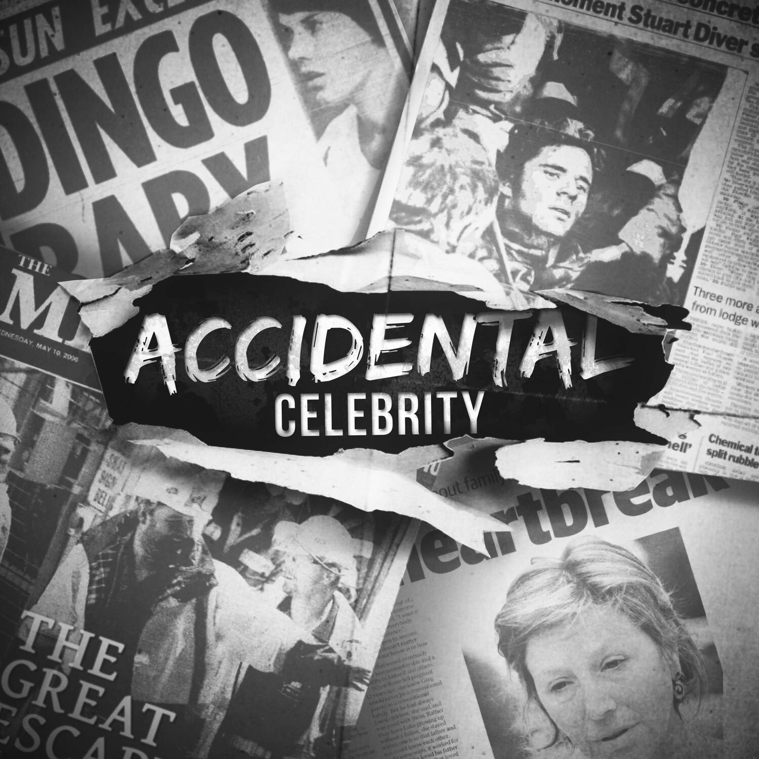 Accidental Celebrity 