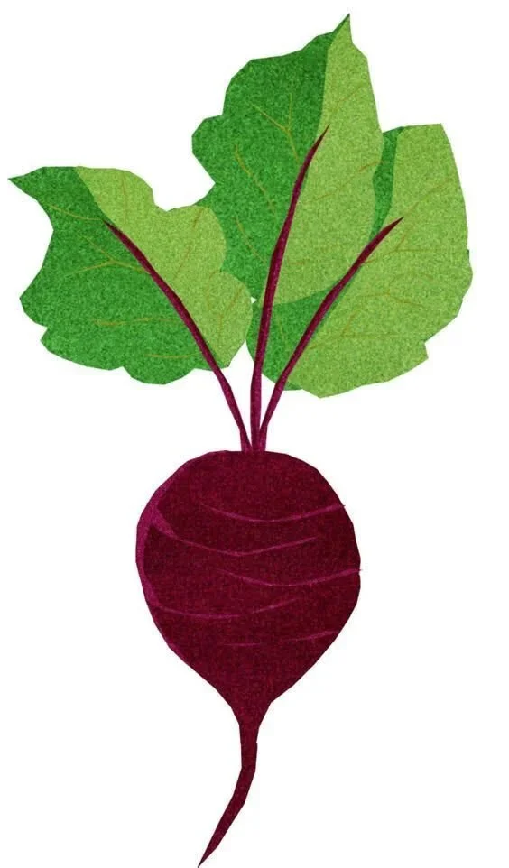 Seedbed Community Farm
