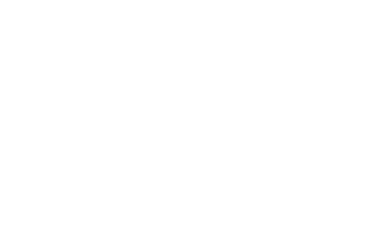 Nicolini Media