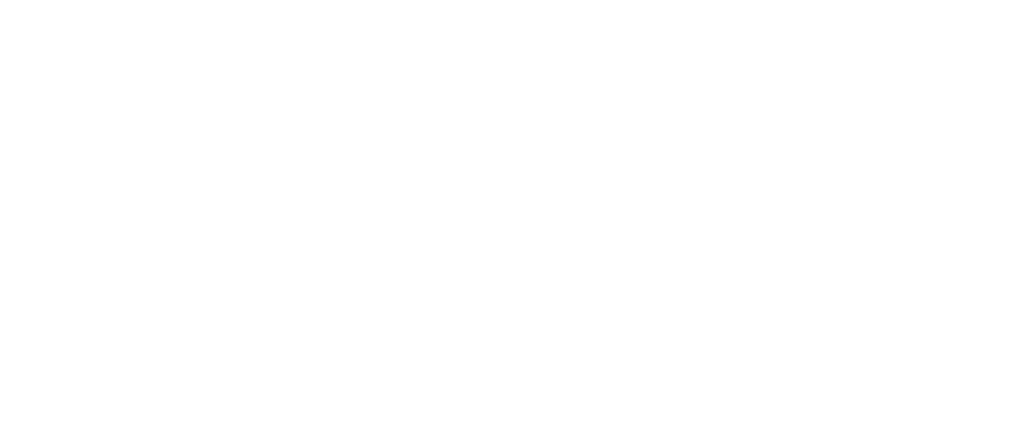 Flambeau RapidX