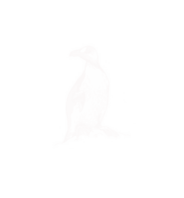 Frost Student Association 