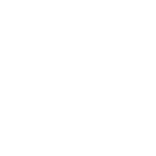 Black Ottawa Connect