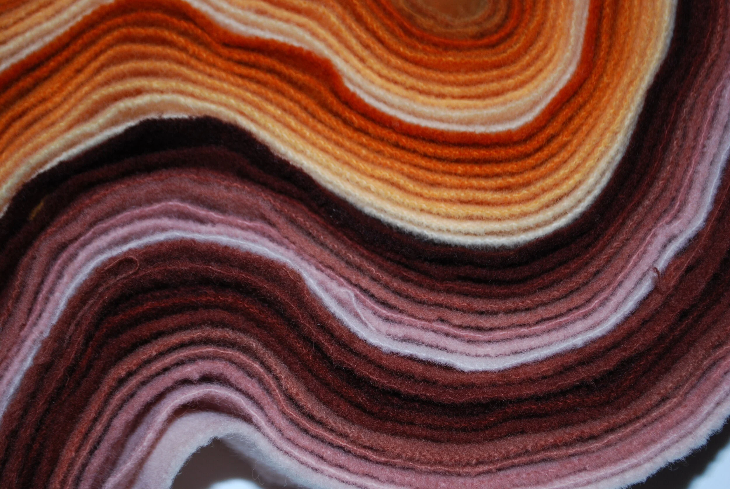 DSC_0350.jpg