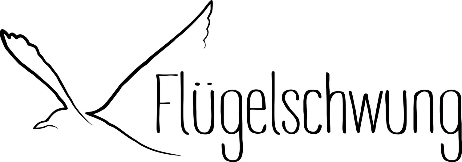 Flügelschwung