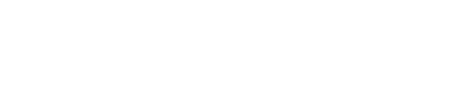 The Union Rye