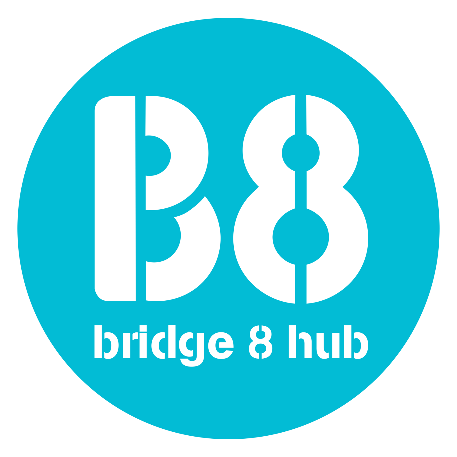 BRIDGE 8 HUB