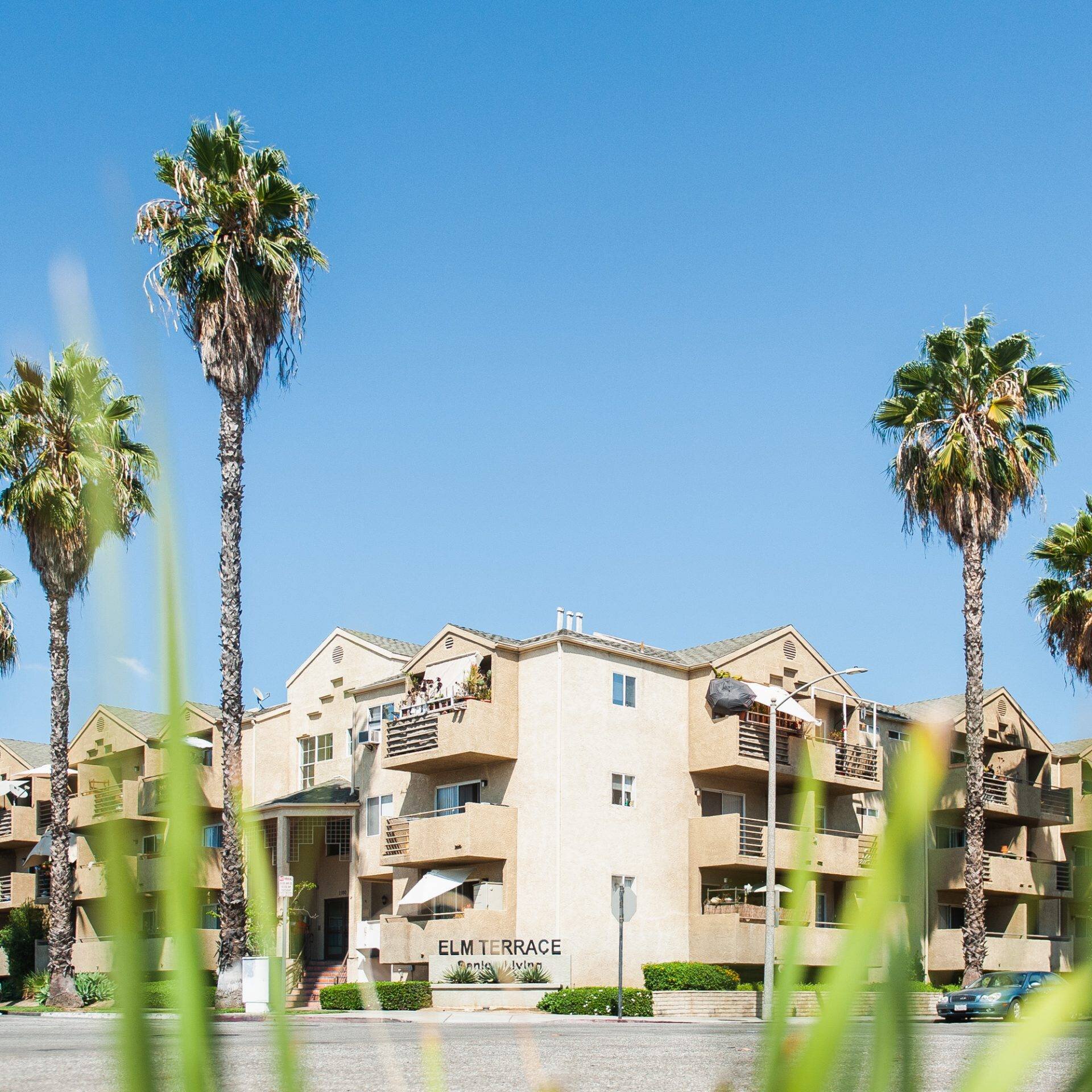 榆树梯田公寓-榆树梯田是一个安静的社区老年人, 55岁及以上, 位于长滩, 加州. 这个公寓大楼有三层楼，里面都是舒适的一居室公寓, 并且在整个建筑的前提下都适合轮椅使用.