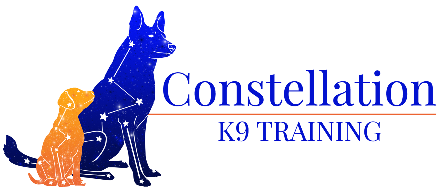 Constellation K9 Training
