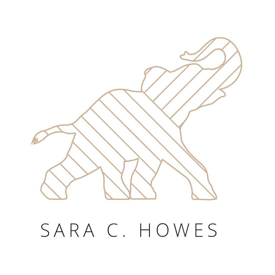 Sara C. Howes | Products &amp; Experiences