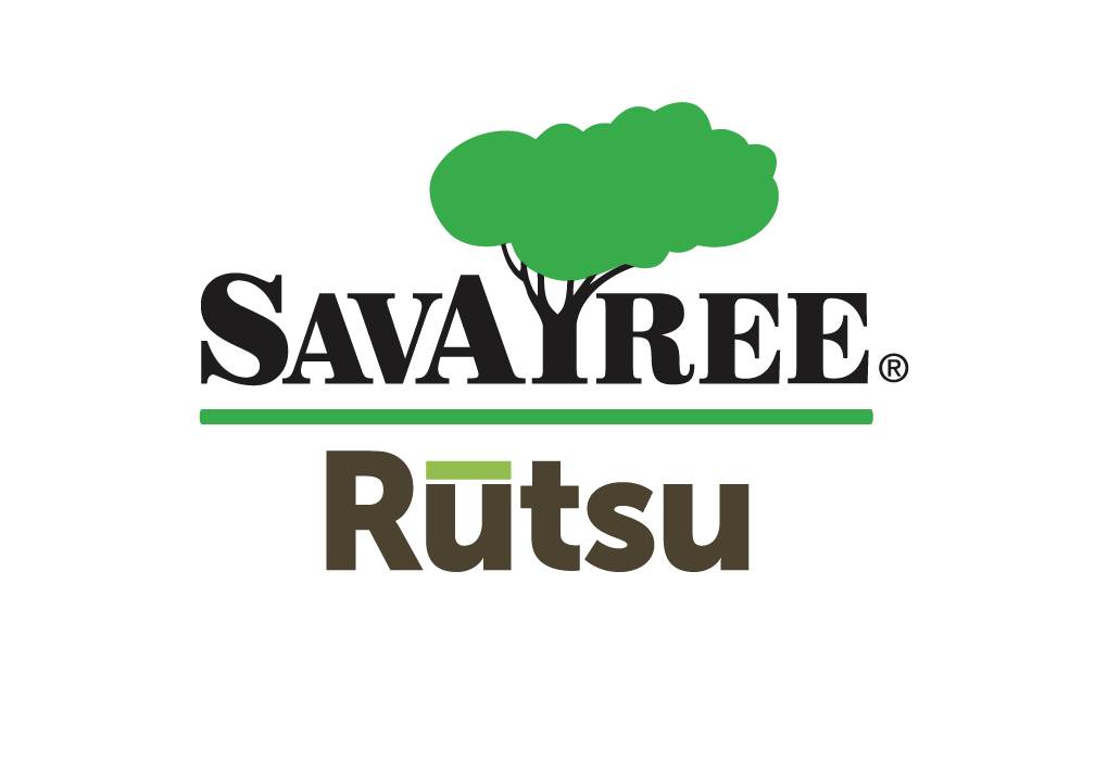 Rutsu SavATree