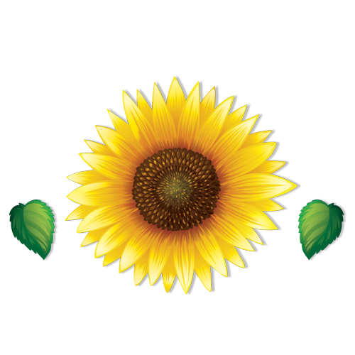 Sunflower Catering