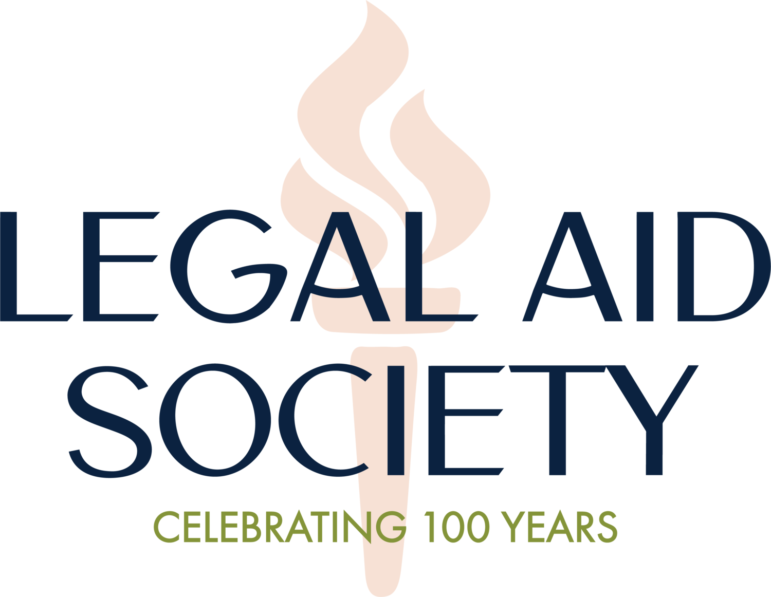 legal aid society