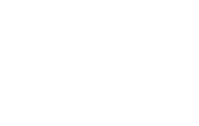Brave Mind