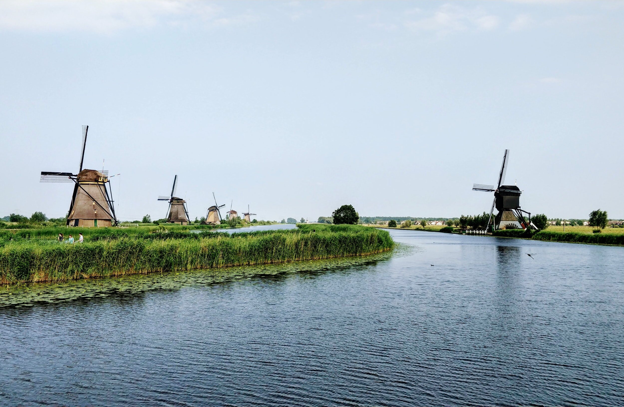 优德app为荷兰运输贸易展 