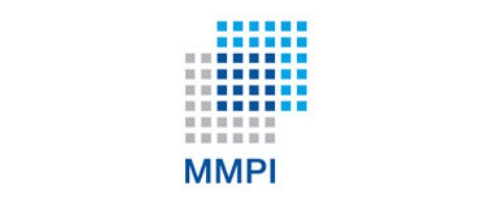 MMPI标志凤凰国际商务物流.png