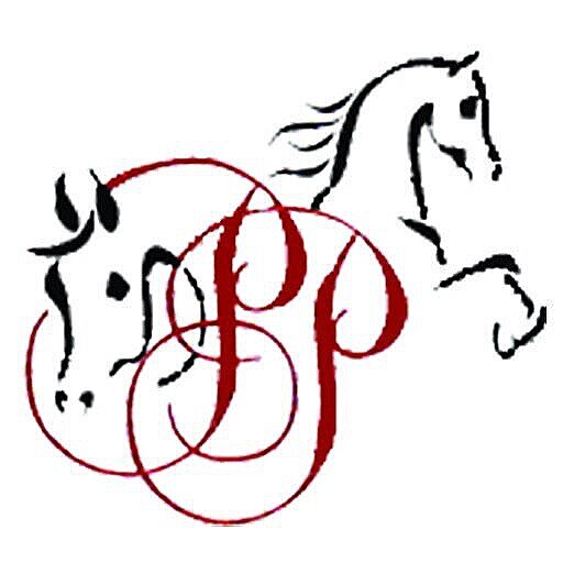 PPA- Performance Plus Arabians