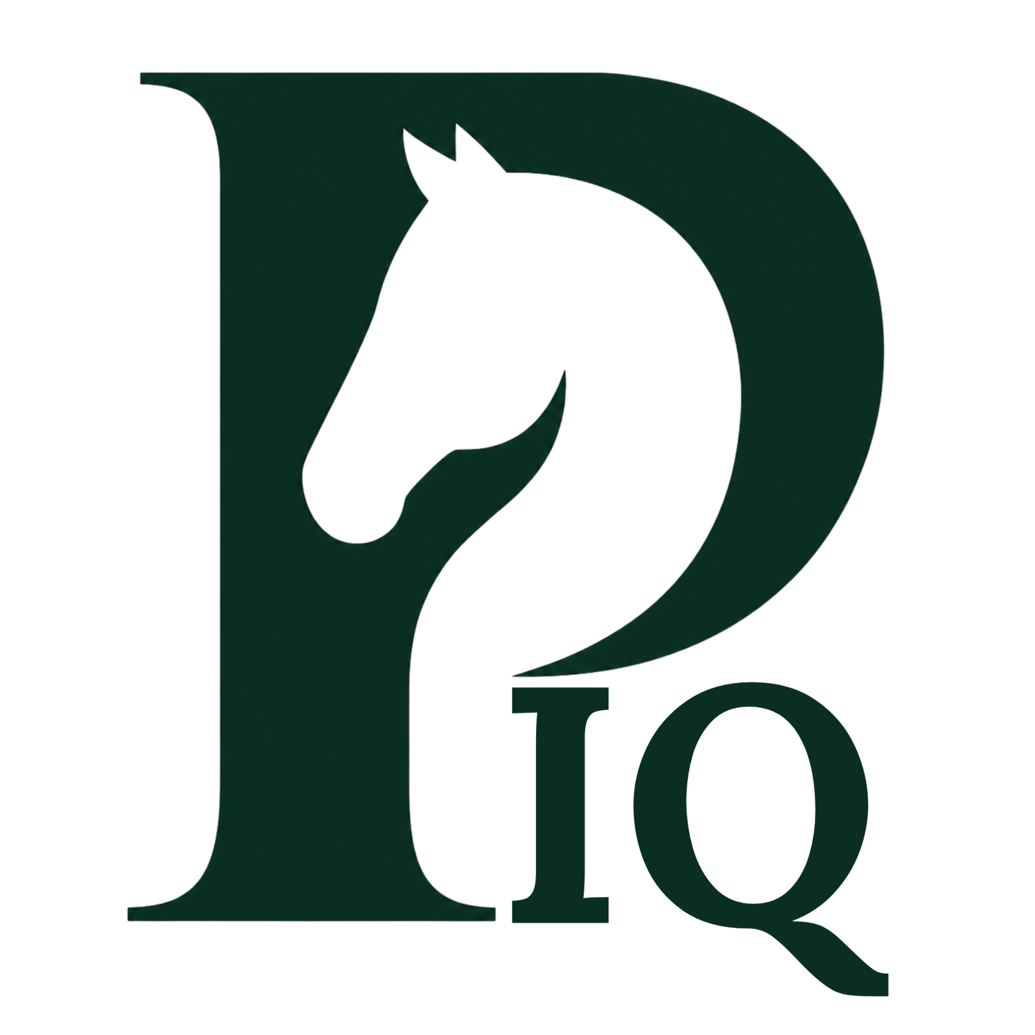 PuntIQ