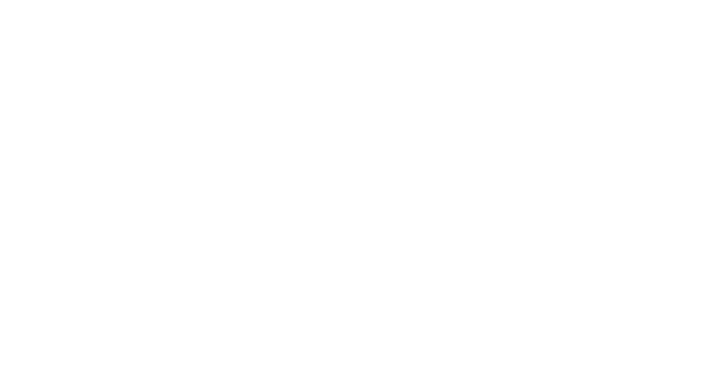 Basic Income Canada Youth Network