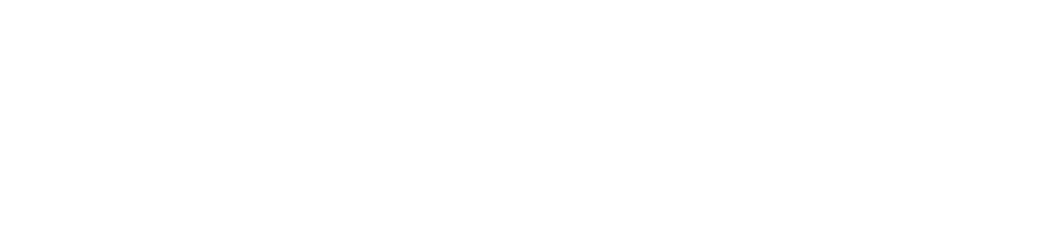 Wildcard Ventures 