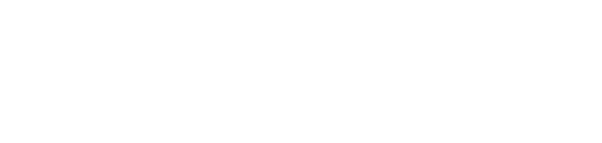 CITY ASSET MANAGEMENT