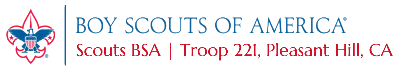 Scouts BSA Troop 221