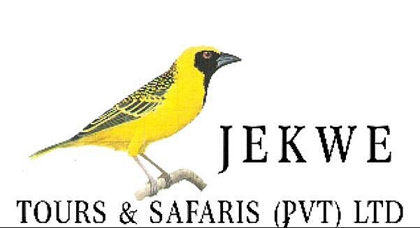 Jekwe Tours and Safaris