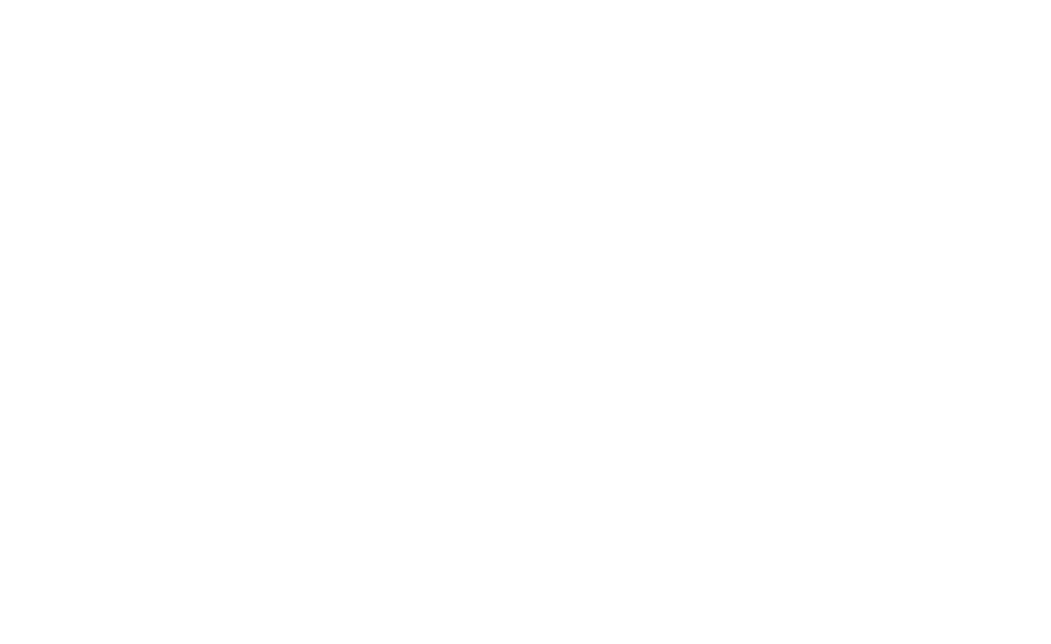 Brows Inc
